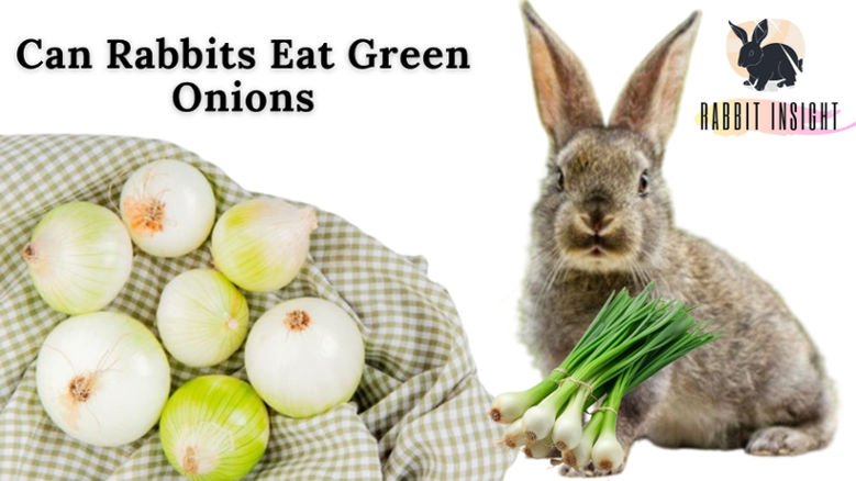 can rabbits eat green onions